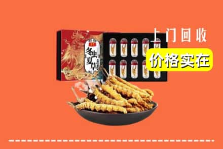 台州市玉环回收虫草